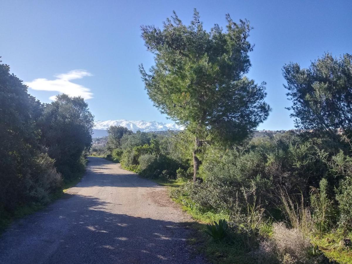 Manolo S Olive Farm, Apartment With Seaview La Canea Exterior foto