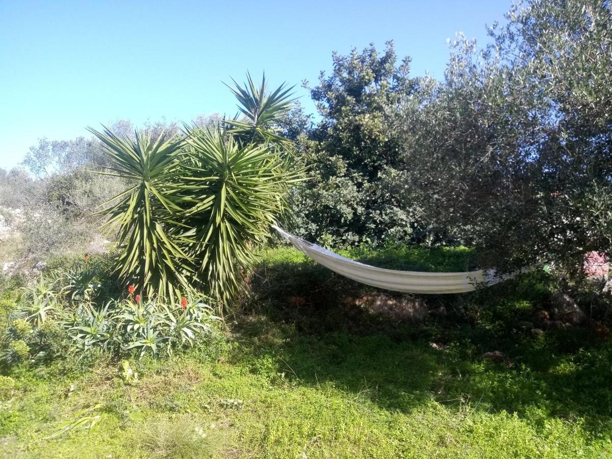 Manolo S Olive Farm, Apartment With Seaview La Canea Exterior foto