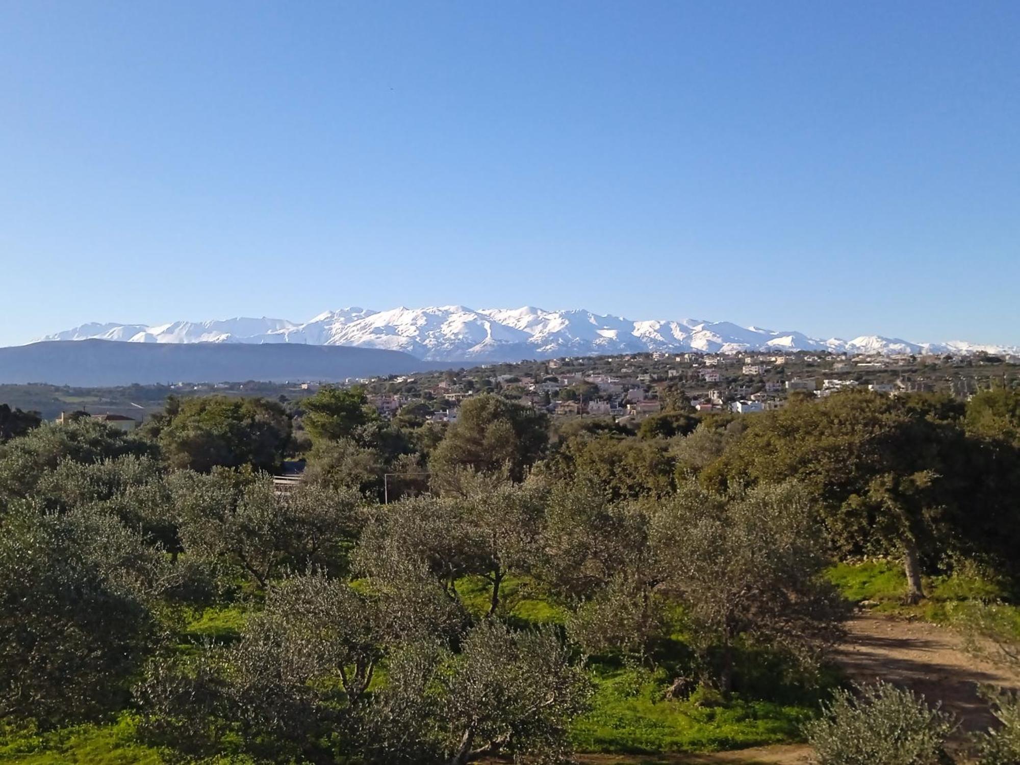 Manolo S Olive Farm, Apartment With Seaview La Canea Exterior foto